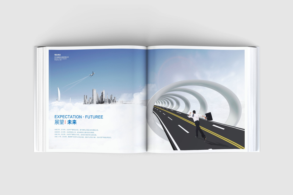 肥乡县画册设计